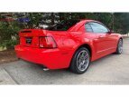 Thumbnail Photo 38 for 2003 Ford Mustang Cobra Coupe